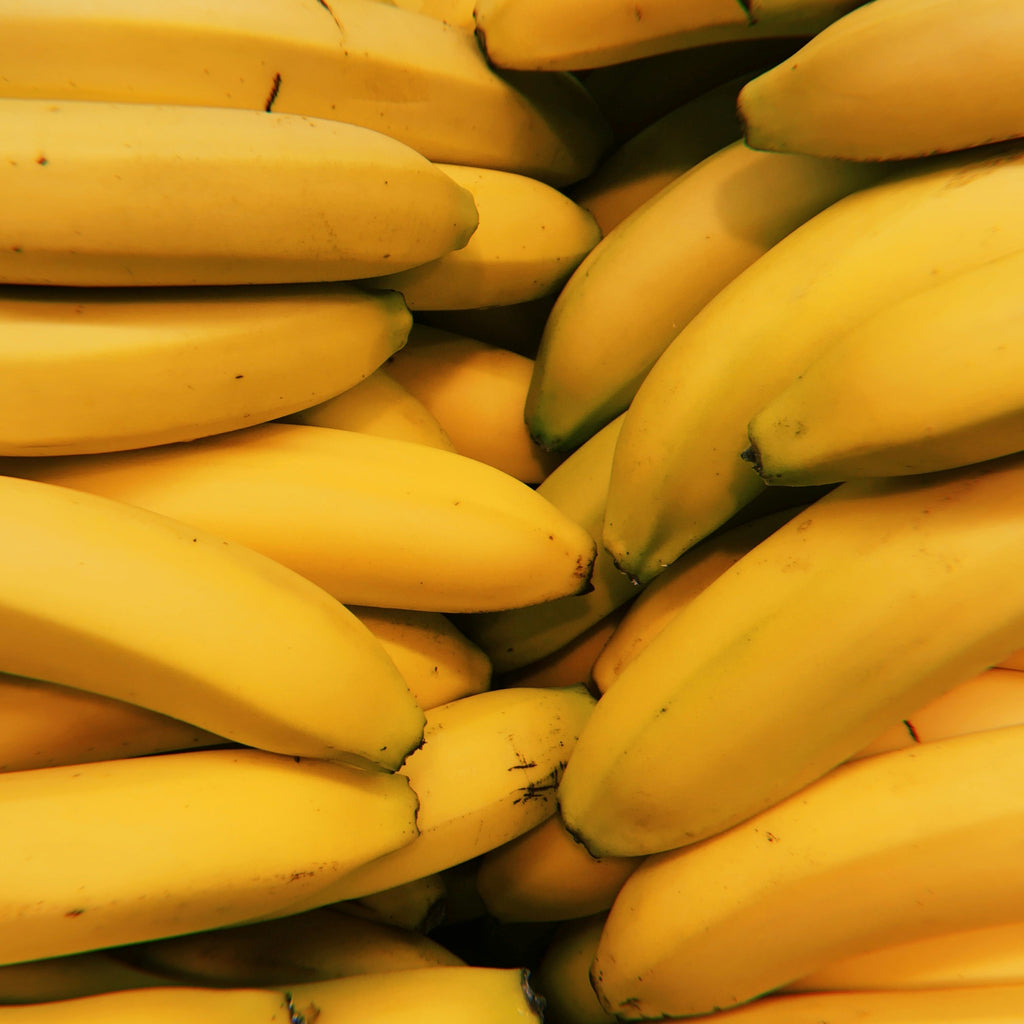 Dwarf Cavendish Banana (Six Inch Pot) | Bananas | Banana Tree
